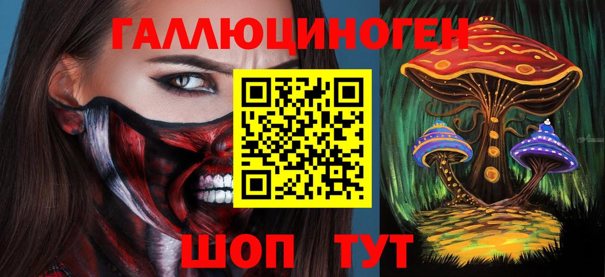 Галлюциногенные грибы Psilocybine cubensis Шахты